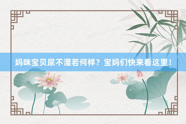 妈咪宝贝尿不湿若何样？宝妈们快来看这里！
