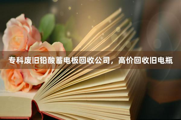 专科废旧铅酸蓄电板回收公司，高价回收旧电瓶